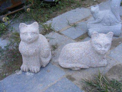 石雕小猫